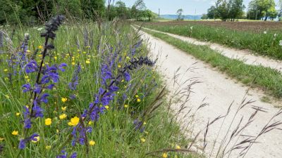 Jura-Route, Etappe 2/6