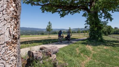 Route du vignoble de La Côte