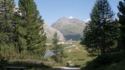 ViaValtellina, Etappe 5/8