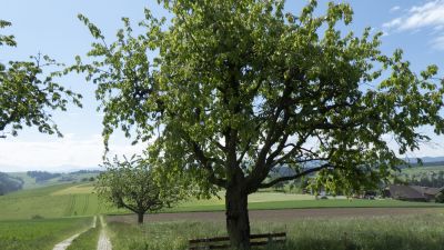 Grenzpfad Napfbergland, Etappe 1/6