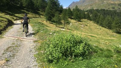 Bovarina Bike