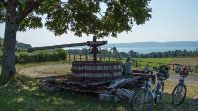 Nord Vaudois–Jura