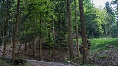 Waldstätterweg, Etappe 4/7