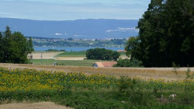 Fribourg en diagonale, Etappe 3/3