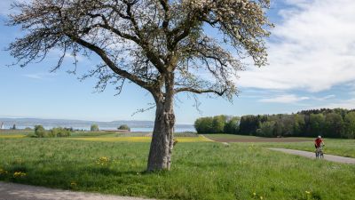 Seerücken-Route