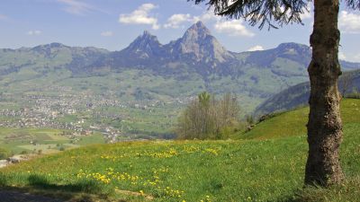 Brunnen Tour