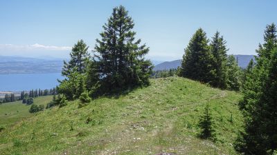 Sentier des Statues