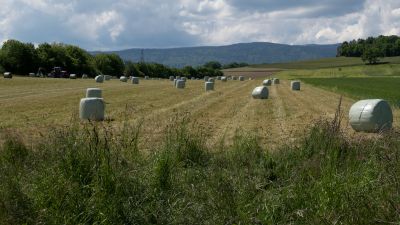 Chemin du Vallon de l’Aubonne