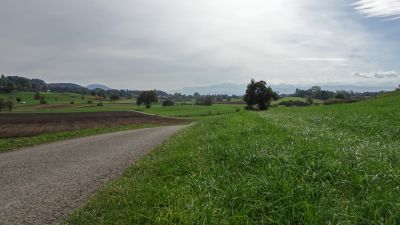 Rheinfall–Zürcher Oberland, Etappe 2/2