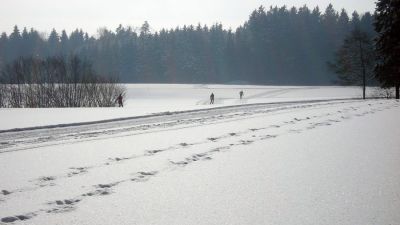 Loipe Herlisberg-Römerswil