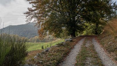 Capriasca Bike