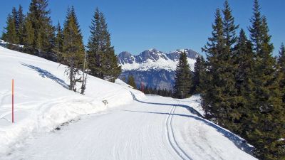 Tannenboden-Fursch-Loipe