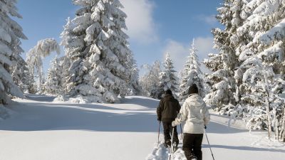 Raten Trail