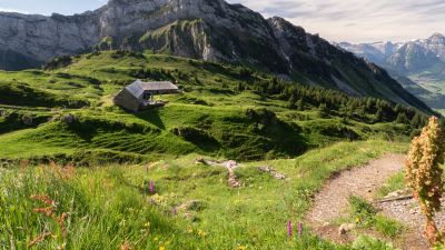 Toggenburger Höhenweg, Etappe 3/6