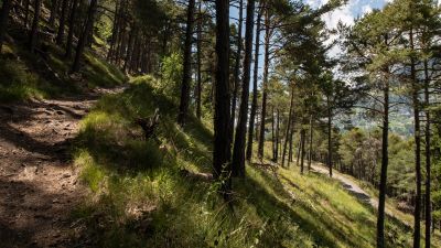 Valais Alpine Bike, Etappe 4/6