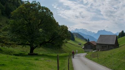 Panorama Bike, Etappe 4/14