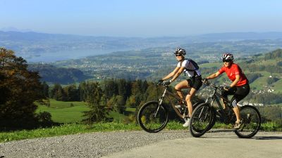 Farner Bike