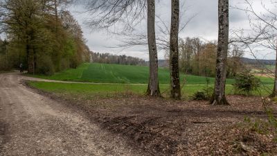 Mont de Coeuve Bike