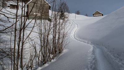 Landscheidi Trail