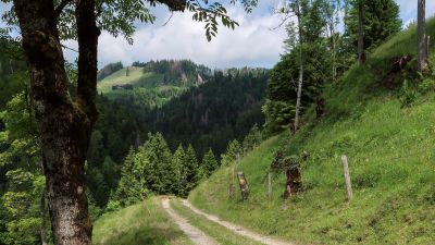 Köhlerweg Romoos