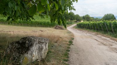 Dreiland-Wanderweg, Etappe 2/3