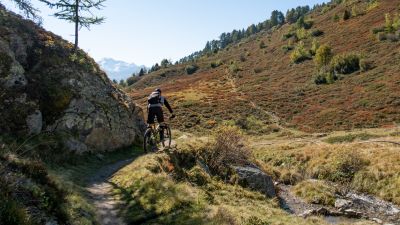 Nesselloop Bike