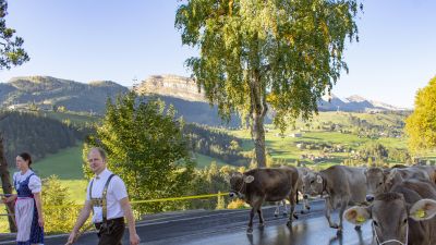 Thur-Route, Etappe 3/3