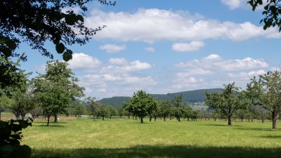 ViaSurprise, Etappe 5/6