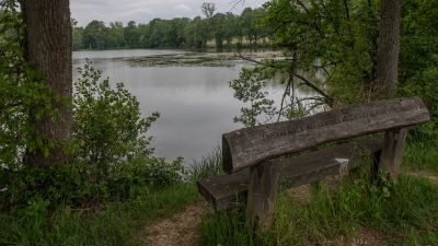 Les Etangs de l’Ajoie Bike