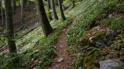 Rheintaler Höhenweg, Etappe 3/6