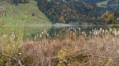 Auf dem Rücken des Schwyberg