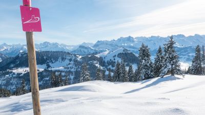 Chäserenholz-Schneeschuhtrail
