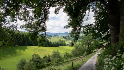 St. Galler Panoramaweg