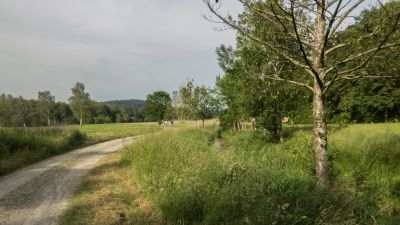 Geo-Route
