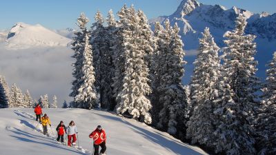 Brämegg Rundtrail