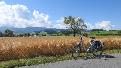 Sense–Glâne–Veveyse, Etappe 1/4