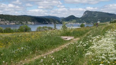 Mont Tendre Bike