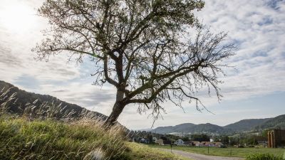 Töss-Jona-Route, Etappe 1/2