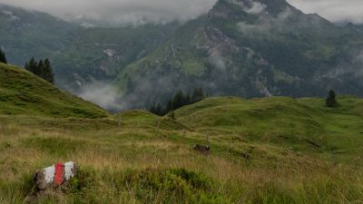 Urwaldweg Bödmeren