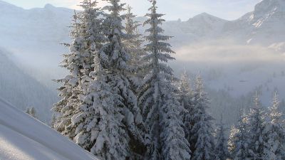 Grimmialp Trail
