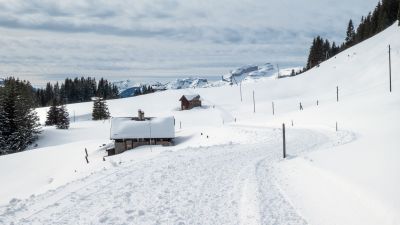 Chemin Isenau–Col du Pillon