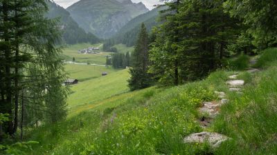 Alte Averserstrasse