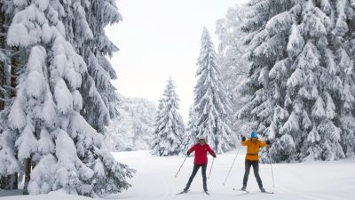 Piste des Mille Sapins