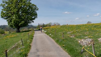 Valanvron Tour