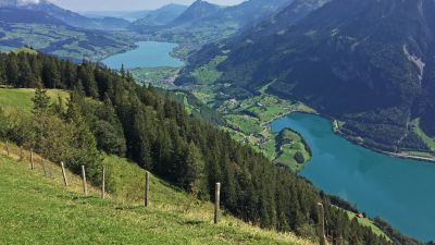Schmetterlingspfad Lungern