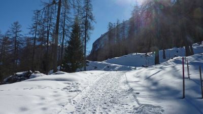 Bergünerstein-Schneeschuhtrail
