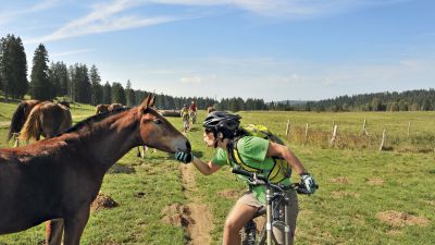 Jura Bike