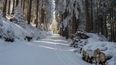Oberdorf-Gamperfin-Weg