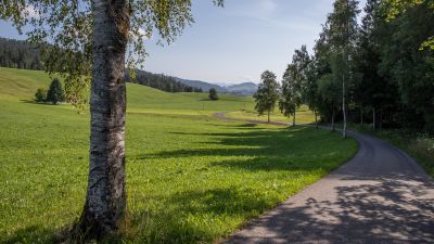 Zürich–Einsiedeln Bike, Etappe 2/2
