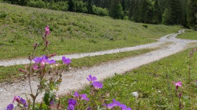 Tour des Alpes Vaudoises, Etappe 4/8